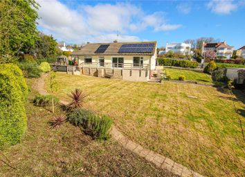 Thumbnail Bungalow for sale in Beer Road, Seaton, Devon