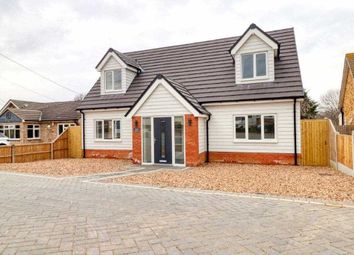 Thumbnail Detached house for sale in Tamerisk, Oakmead Road, St Osyth