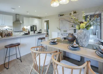 Showhome Photography