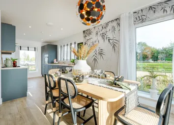 Showhome Photography