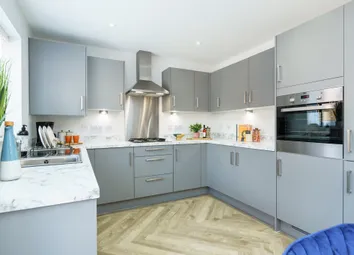 Showhome Photography