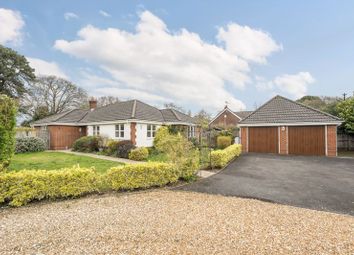 Thumbnail Bungalow for sale in Blythe Road, Corfe Mullen