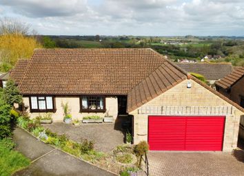 Thumbnail Detached bungalow for sale in Beechwood Drive, Crewkerne