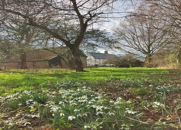 Thumbnail Country house to rent in Church Road, Beccles