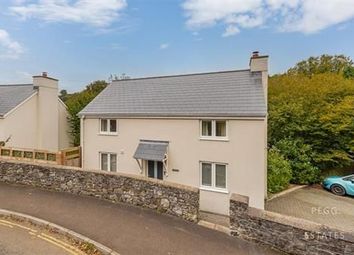 Thumbnail Detached house for sale in Peartree Cottage, Old Totnes Road, Buckfastleigh