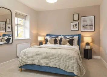 Dandara - Zoopla -