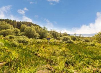 Barr An Taolain Wood, Kilfinan, By Tignhnabruaich, Argyll And Bute PA21. Sub image 3. Views Of The Plot To