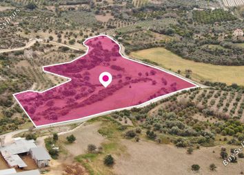 Thumbnail Land for sale in Agios Theodoros Larnacas, Larnaca, Cyprus