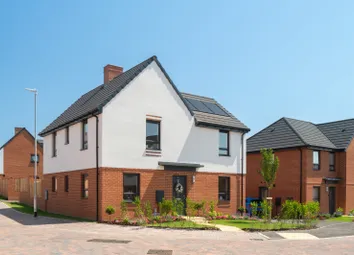 Clipstone Park New June 26