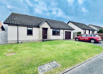 Thumbnail 3 bed detached bungalow to rent in Pitcairn Drive, Balmullo, St Andrews, Fife