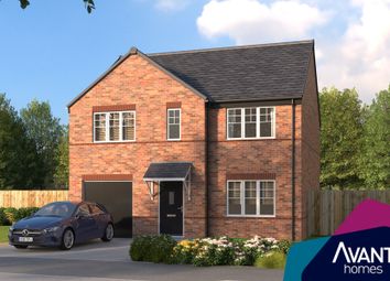 Thumbnail Detached house for sale in "The Cookbury" at Hay Green Lane, Birdwell, Barnsley
