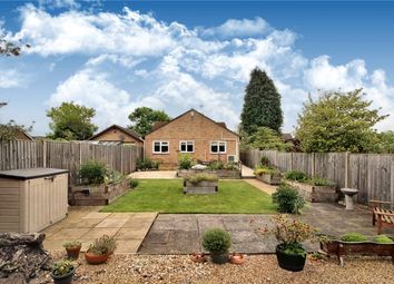 Thumbnail 3 bed bungalow for sale in All Saints Road, Poringland, Norwich, Norfolk