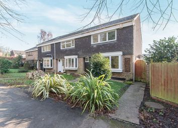 Thumbnail Semi-detached house to rent in Holmesland Walk, Botley, Southampton