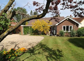 Thumbnail 4 bed bungalow for sale in Church Lane, Wicklewood, Wymondham, Norfolk