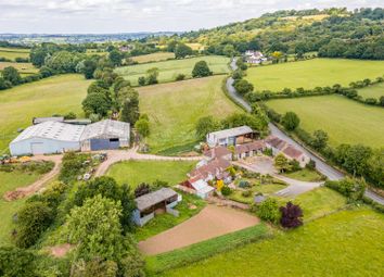 Dji_0674-Edit.Jpg