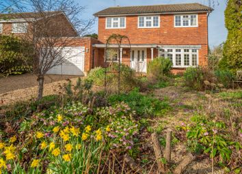 Thumbnail Detached house for sale in Causeway End Road, Felsted