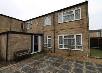 Thumbnail 4 bed semi-detached house to rent in Belvoir Way, Peterborough