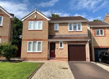 Thumbnail 4 bed detached house for sale in Willow Walk, Honiton