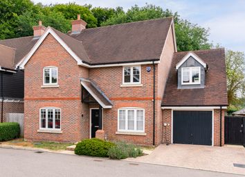 Thumbnail 5 bed detached house for sale in Salix Close, Welwyn