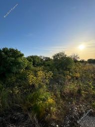 Thumbnail Land for sale in Mesogi, Paphos, Cyprus