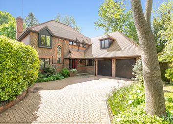Thumbnail Detached house for sale in Mellish Gardens, Harts Grove, Woodford Green
