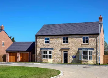 Rose Plot 7 External
