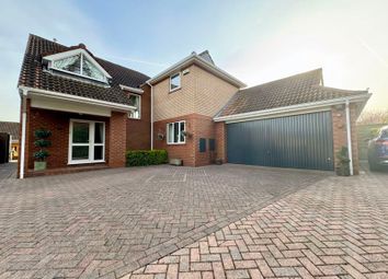 Thumbnail Detached house for sale in Station Road, Waltham, Grimsby