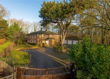 Thumbnail Detached house for sale in Windmill Hill, Exning, Newmarket, Suffolk