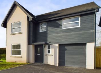 Thumbnail Detached house for sale in Ham Mews, Old Bristol Road, East Brent, Somerset