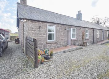Thumbnail Cottage to rent in Cruik Cottages, Brechin, Angus