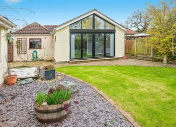 Thumbnail 3 bed detached bungalow for sale in Buxton Road, Spixworth, Norwich
