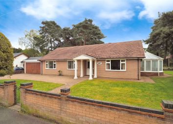 Thumbnail 3 bedroom bungalow for sale in Sandy Lane, Ringwood, Hampshire