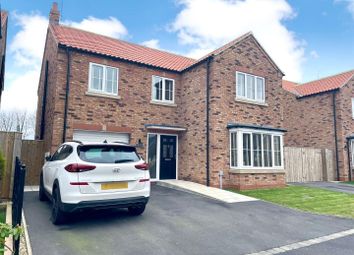 Thumbnail Property for sale in Blanchard Close, Beeford, Driffield