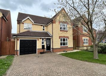 Thumbnail Detached house for sale in Clover End, Witchford, Ely