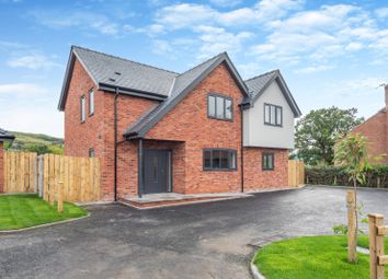 Montgomery - 4 bed detached house for sale