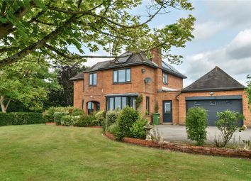 Maple Tree House