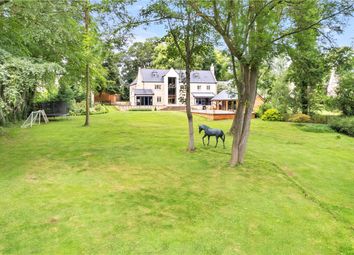 Rear Gardens