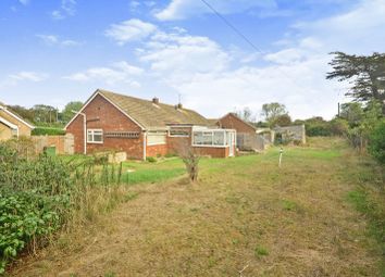 Thumbnail Semi-detached bungalow for sale in Ash Grove, Romney Marsh