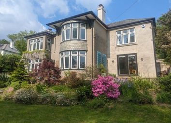 Thumbnail 4 bed detached house to rent in Valley Road, St. Austell