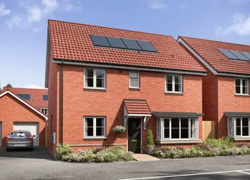 Pembroke CGI