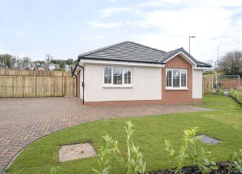 Thumbnail Detached house for sale in Abbeygreen, Lesmahagow, Lanark, South Lanarkshire