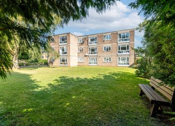 Property listing in Sutton, London