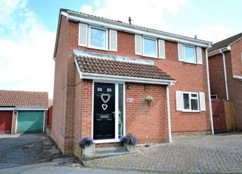 Thumbnail 3 bed detached house to rent in Tiberius Close, Basingstoke