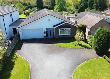 Thumbnail Detached bungalow for sale in Widney Manor Road, Solihull