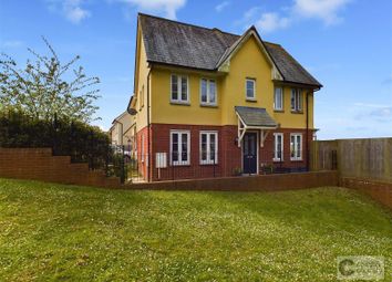 Newton Abbot - Semi-detached house for sale         ...