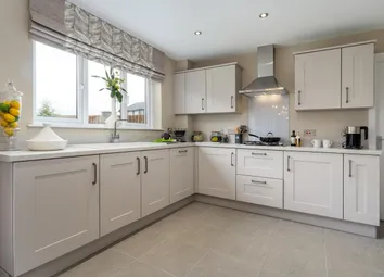 Showhome Photography