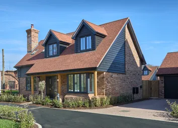 72 Whitebeam