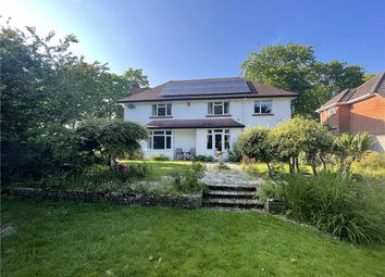 Thumbnail Detached house to rent in Nea Road, Christchurch, Dorset