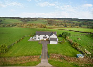 Thumbnail 5 bed detached house for sale in Iddesleigh, Winkleigh, Devon