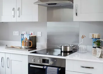 Typical Kitchen 1